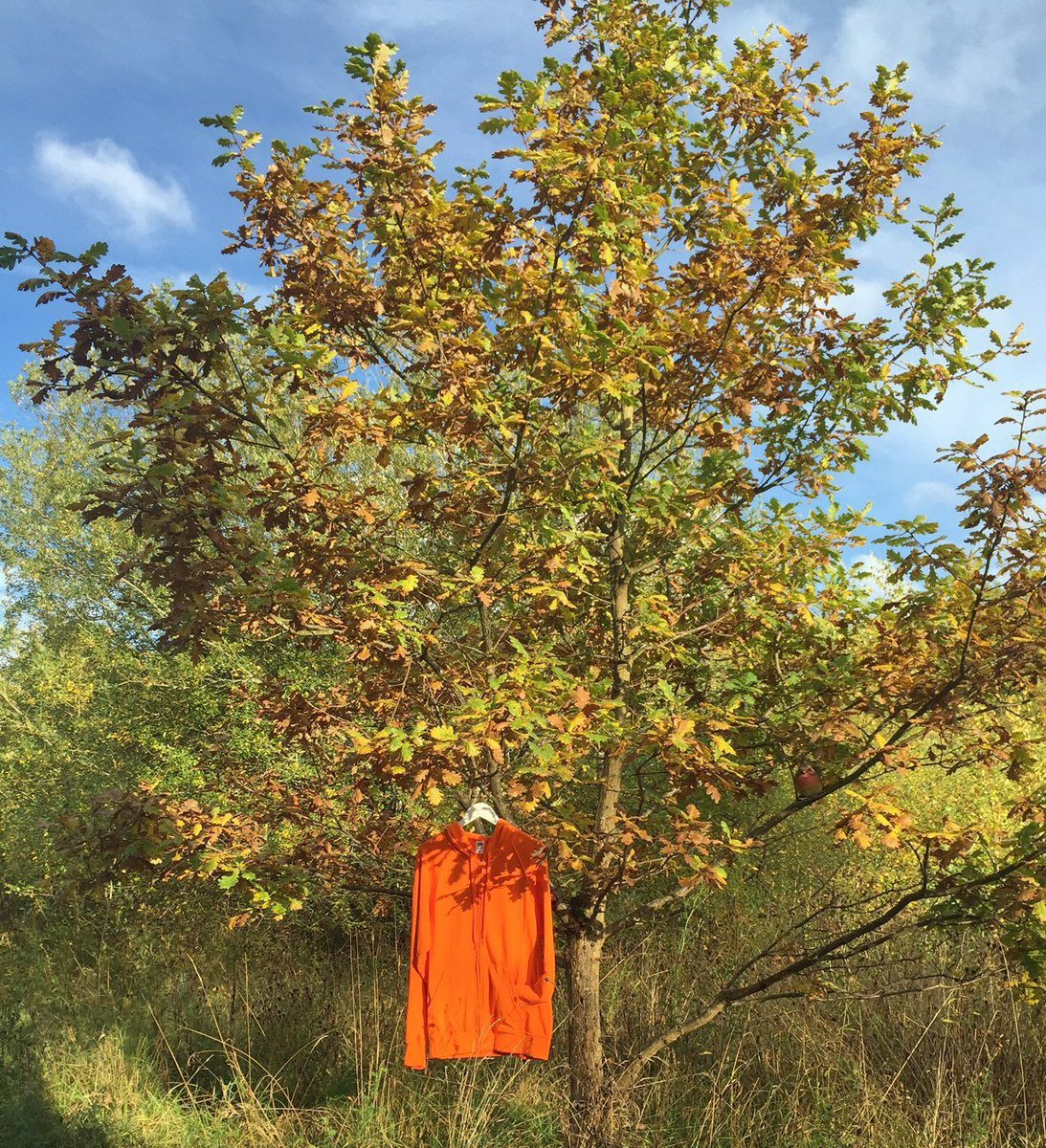 FruitEurope's tweet photo. Layer up #LightweightSweats #Autumn #WinterIsComing https://t.co/KpLgrluZZ9