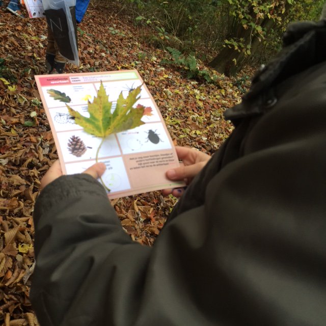 SuperHerfstspeurtocht met kids gr 3/4 &amp; 4 van @bsdeoverlaet 
thnx <a href="/leuksteooit/">leukste feestje oo!t</a> Speurkaart én diploma groot succes!