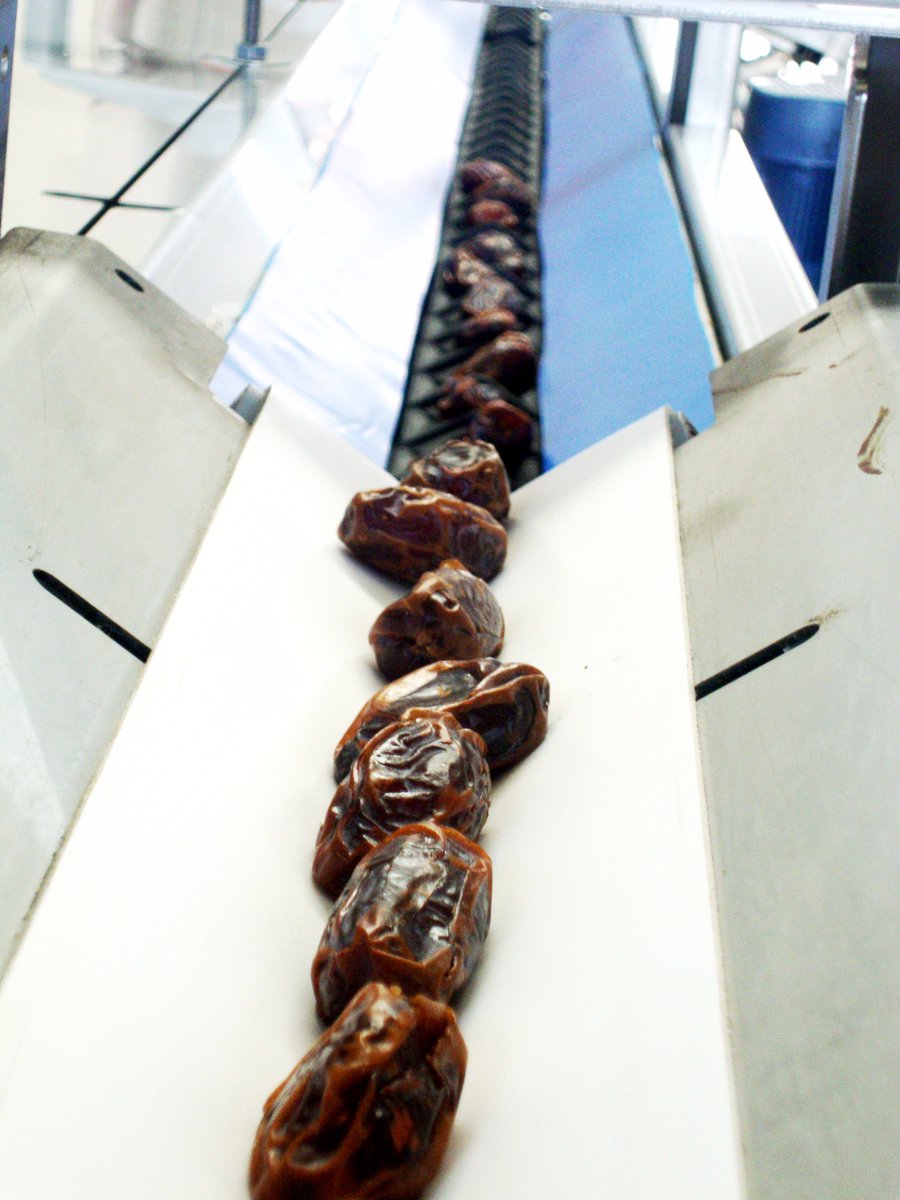 futurasrl's tweet image. We take care of your fruits! #datesgrading #fruitsorting #electronicgrading #freshproduce