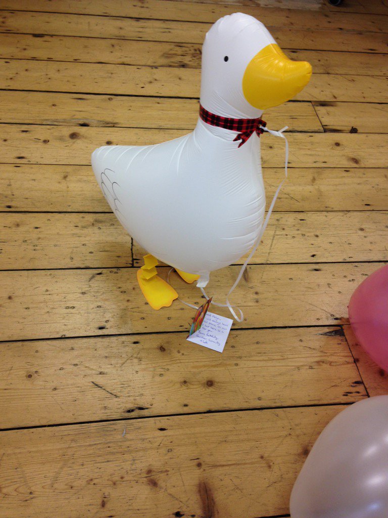 MissHatcher's tweet photo. When your old work sends you a walking duck pet to your new work... #longtermlove #meetDerek https://t.co/BEavf013Lb