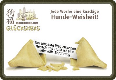 StadthundeCom's tweet photo. Liebe Hundefans, wir wünschen Euch einen wundervollen Mittwoch! https://t.co/dsN4JYHp9n