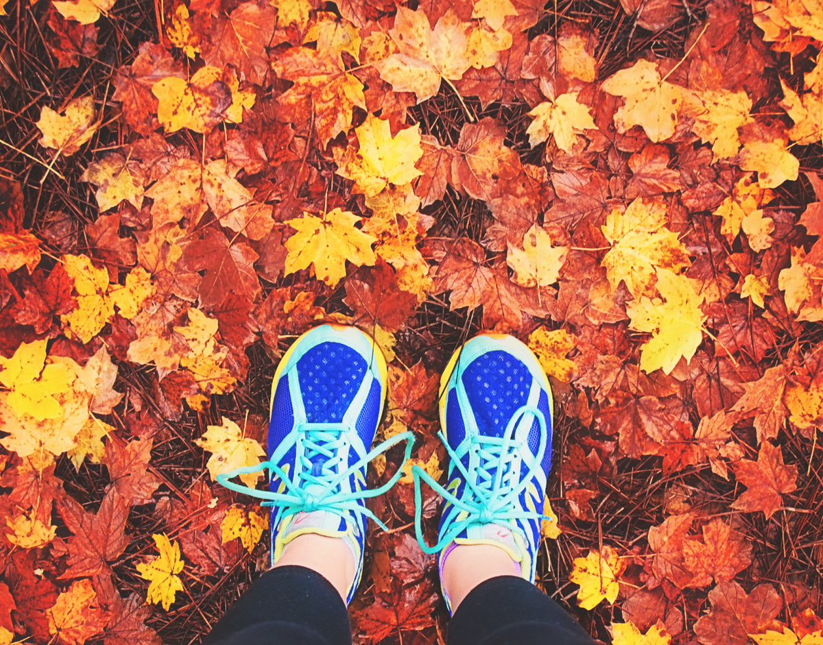 berrycollege's tweet photo. Go get your Viking on this #WellnessWednesday! #fallatberry 👟 https://t.co/m6P7iSN7tY