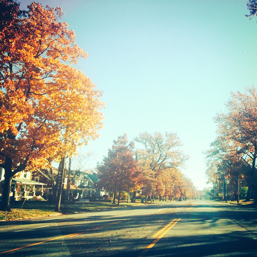 jujubee453's tweet photo. The trees on #Clifton this morning 😍🌳🍂🍁👌 @LWOhio @lkwdcitizen #fallinCLE #cLEAFland https://t.co/l8vDyXR2ep