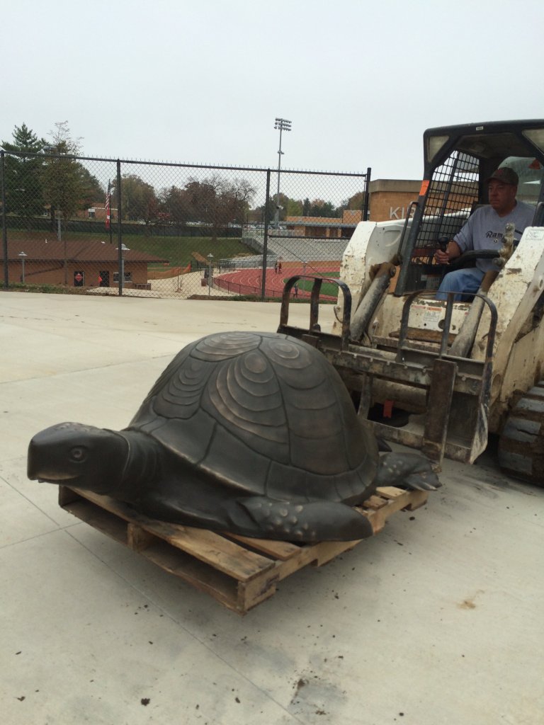 khswalkernat's tweet photo. The turtles have arrived! Any guesses on how much they weigh? @KirkwoodHS @KirkwoodSwim https://t.co/a0MSdwWVxC