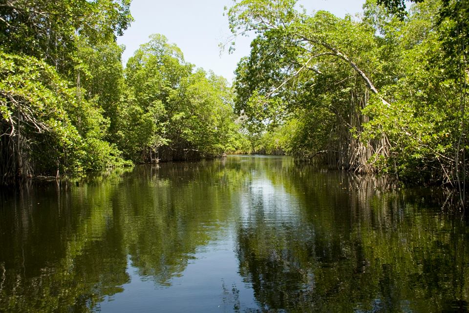 VisitJamaicaNow's tweet photo. Healing mineral waters and a river safari with crocodiles, #VisitJamaica and explore our south coast! https://t.co/1Z2uhUmNkm