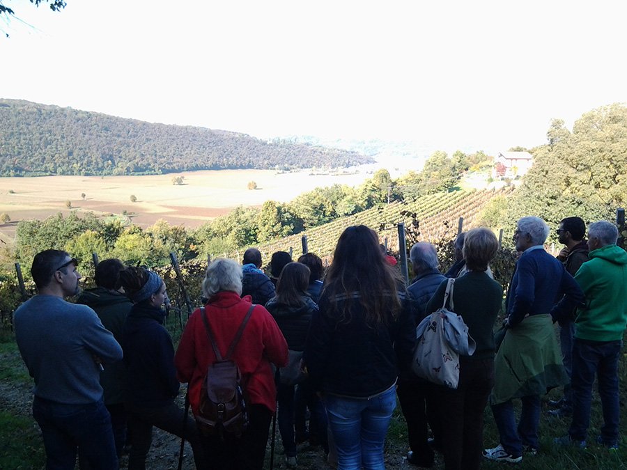 IlCollediGa's tweet photo. Geo&amp;Bugano per scoprire una perla dei #ColliBerici con tour per le vigne e #degustazione #vini guidata #CollediGa https://t.co/ZGdCg0xqIX