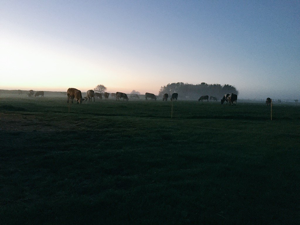 joebirch151's tweet photo. Just an average view from the office #FarmingMatters https://t.co/8SMVUCzSQm