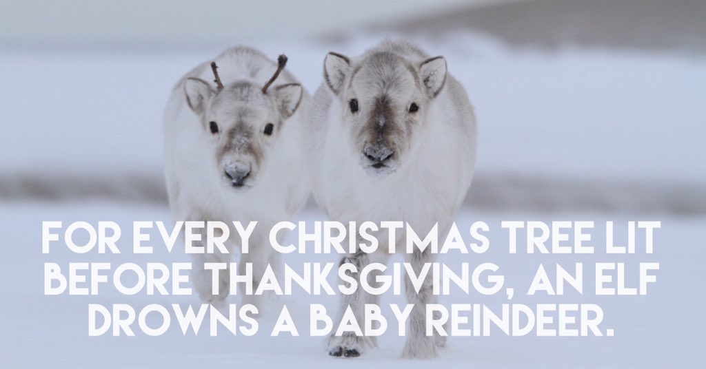 kennethtanner's tweet photo. I made this because I care...save a baby reindeer. #thanksgiving #thanksgivingfallsbeforechristmas #adventmatters https://t.co/B2G2qJF5xy
