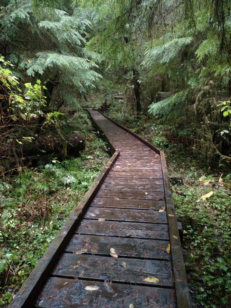 Craig_Peterson7's tweet photo. You could cut a path through the wilds of business or get an experienced Guide who knows a clear dry path. #sbguide https://t.co/we0ZOyK5iU