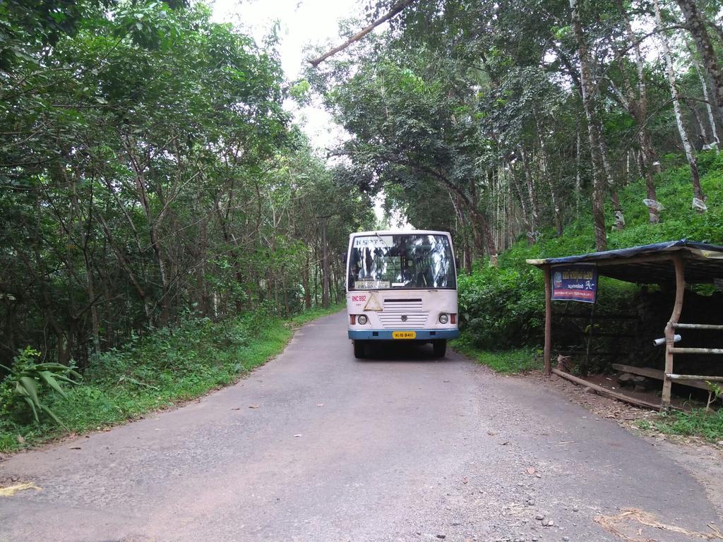 malayora's tweet photo. RNC 992 THOTTUMUKKAM-KOZHIKODE BUS https://t.co/aMHdT7CLtQ