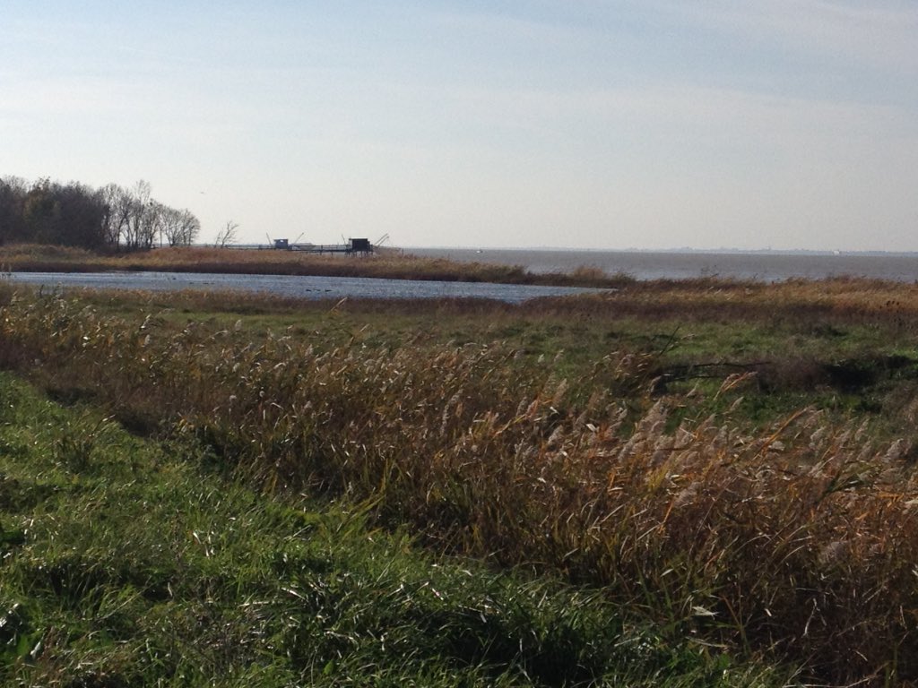 renaudsolacroup's tweet image. Début de matinée en bord d'@EstuaireGironde