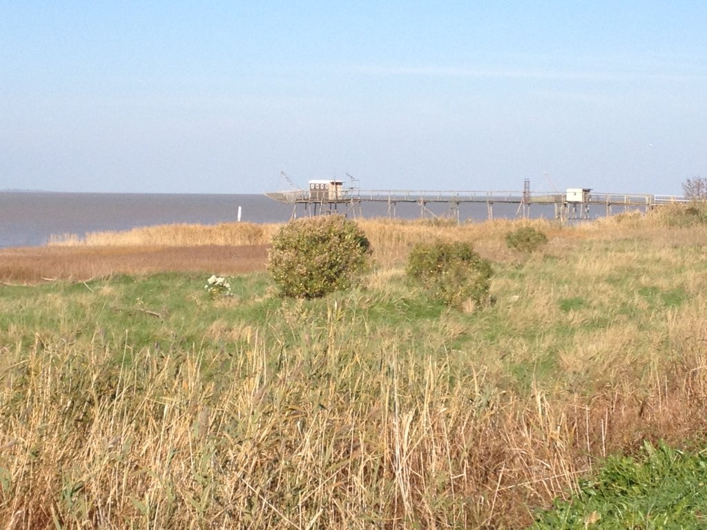 renaudsolacroup's tweet image. Début de matinée en bord d'@EstuaireGironde