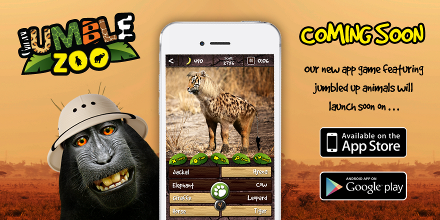 jumblezoo's tweet photo. Our new hybrid animal picture guessing game. Coming soon for Android and iPhone #apps #games https://t.co/Hs6kdt52UH https://t.co/Hq8XOpVCrx