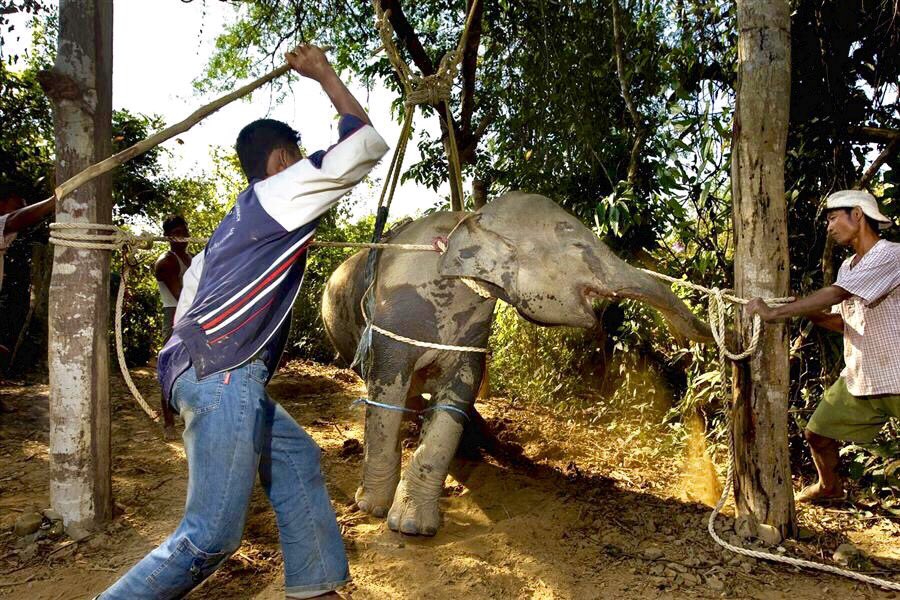 NO quiero esto y LUCHO para EVITARLO 😿💔
I want a future in which humans live in harmony with nature
RT If YOU AGREE!