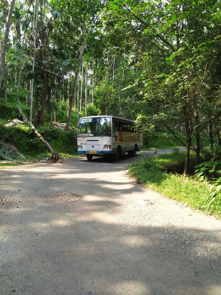 malayora's tweet photo. Fathima Estate -Thottumukkam Road https://t.co/pSUQ5dfBwN