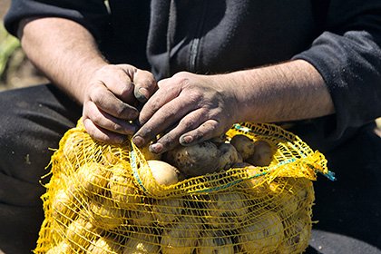 Омский фермер набрал рабов из бомжей bit.ly/1Q1T68T #новости #россия #москва