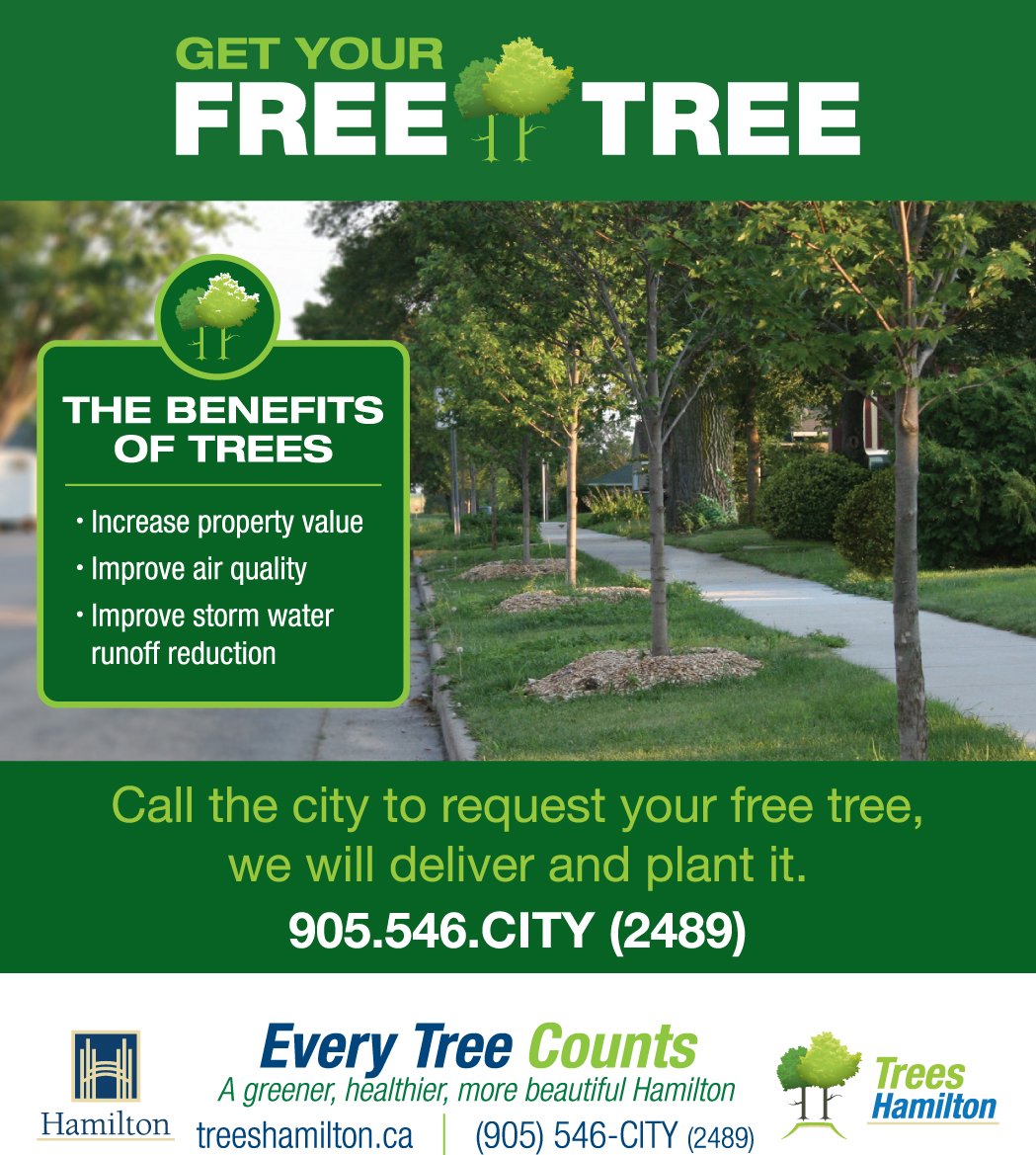 cityofhamilton's tweet photo. Register for the Street Tree Program &amp; have a tree planted in front of your home! https://t.co/M2okoVXYGi #HamOnt https://t.co/GnRyxLXTKO