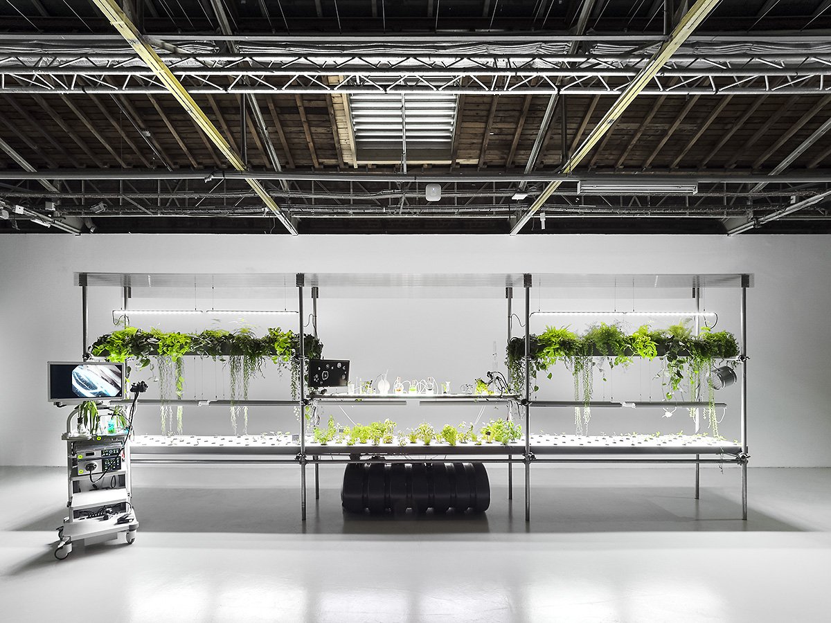 Ebb &amp; Flow- A vertical Farm installation <a href="/PalaisdeTokyo/">Palais de Tokyo</a> #infarm #infamring #indoorfamring #plantart