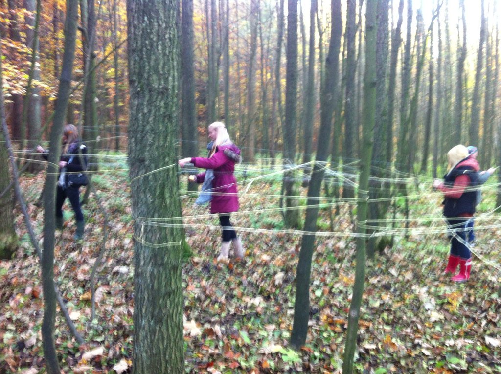 rinchenQ's tweet photo. #bbqnew spinnen im Wald https://t.co/WFYQP5TKPL