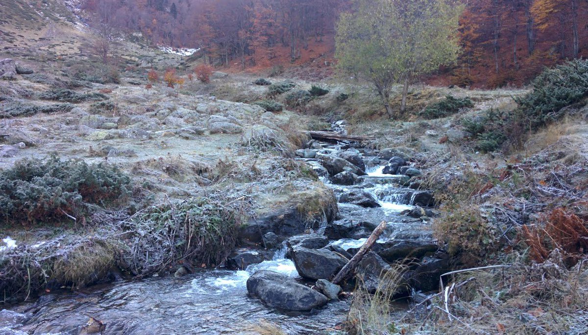 GoldenZambak's tweet photo. #Prevalle #Prevalac #Hiking #Nature II part: https://t.co/o3umi4G4ii