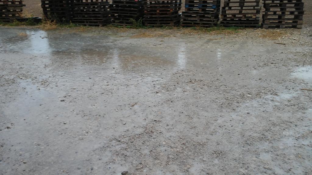 elregueret's tweet photo. . @jaumeramonsole @jfreixanet #MÉS pluja anem bé #secà #zepa #urgell no #segarraGarrigures #ClotDelDimoni https://t.co/0sZbn4YzJd
