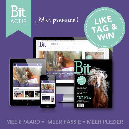 balans hippique tweet media