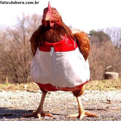 MrsBruckeimer's tweet photo. @MigaSuaLoka achei tendência sua roupinha nova https://t.co/n2dk0il7bU