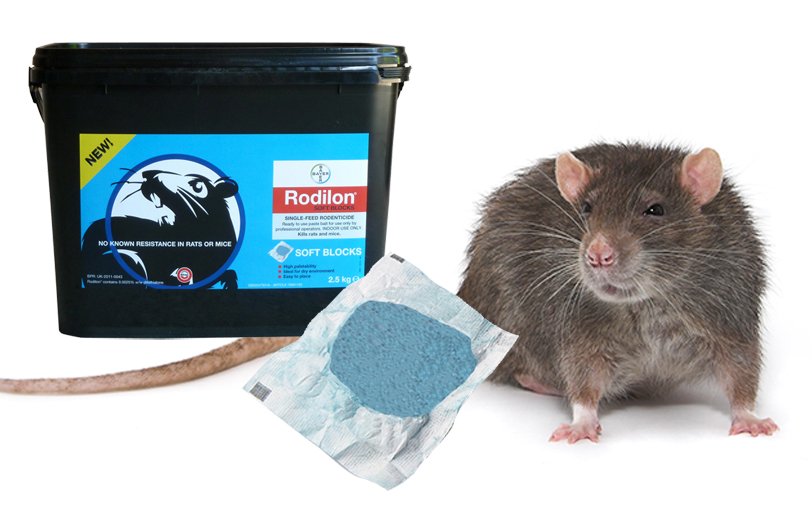 AlbanyPest's tweet photo. Rodenticide with no known resistance approved for use in and around buildings:https://t.co/AsuQUUpDeO https://t.co/iyDFDblPWG