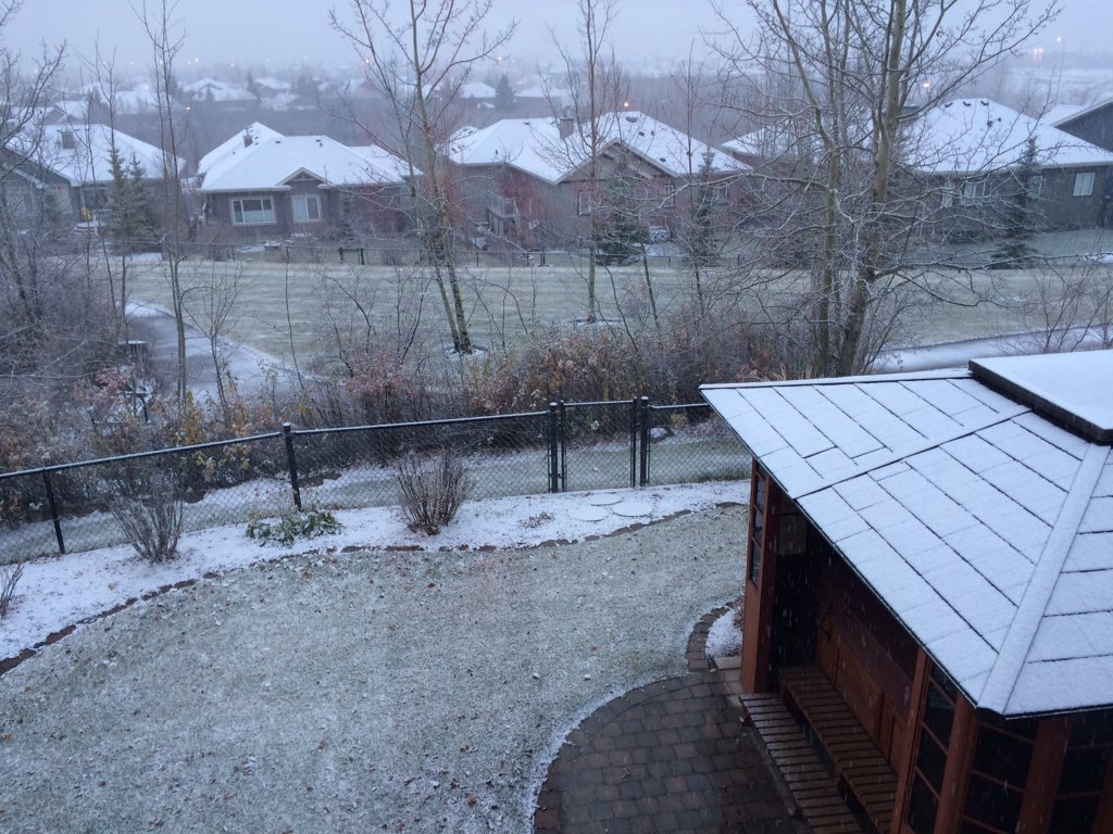 PamTwobankers's tweet photo. #firstflurries in Royal Oak this morning. Looks pretty! https://t.co/U3l9TFI6d7