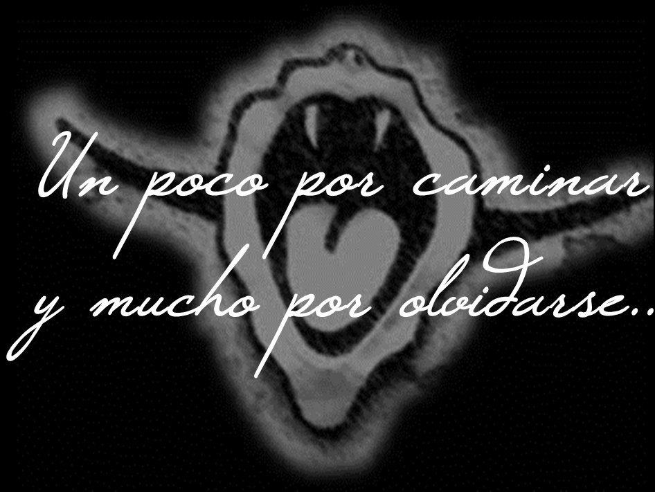cgemajo_'s tweet photo. Angel caído va a lo que no pudo ser tirando de una esperanza se está haciendo tarde y parece que va a llover.. #LP87 https://t.co/PwzEC4VGpT