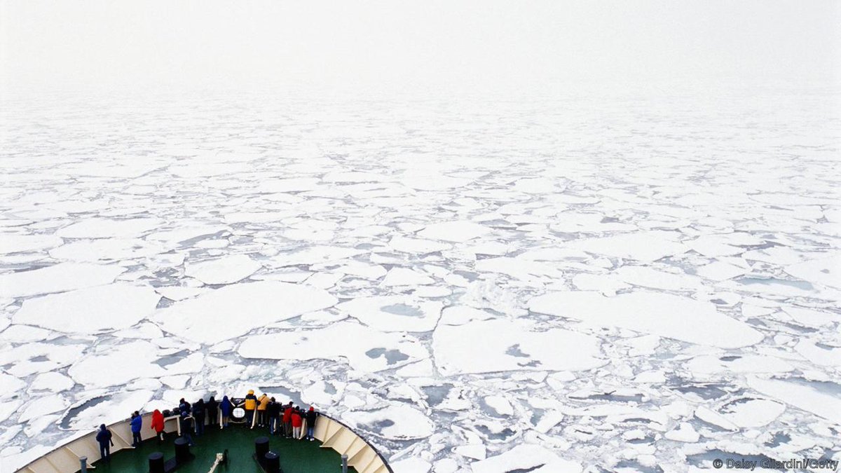Could the drive to explore simply be a result of a more developed brain? bbc.in/1WgzDQP