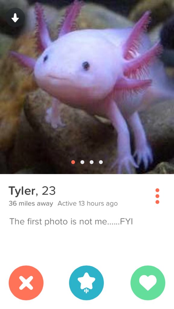 ClaireN0el's tweet photo. Tinder: The Four Part Saga https://t.co/0aLFveiWIx