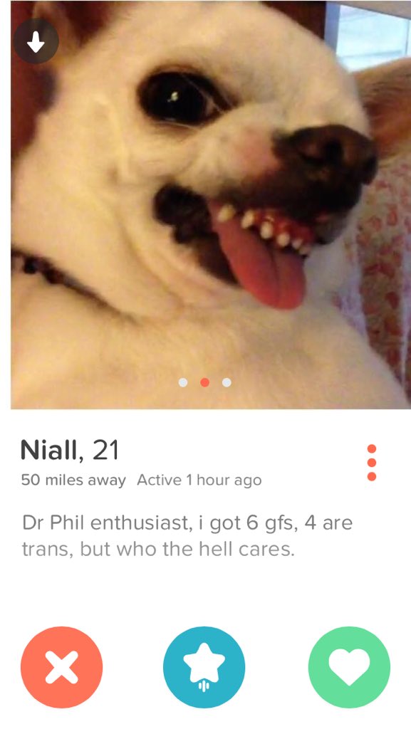 ClaireN0el's tweet photo. Tinder: The Four Part Saga https://t.co/0aLFveiWIx