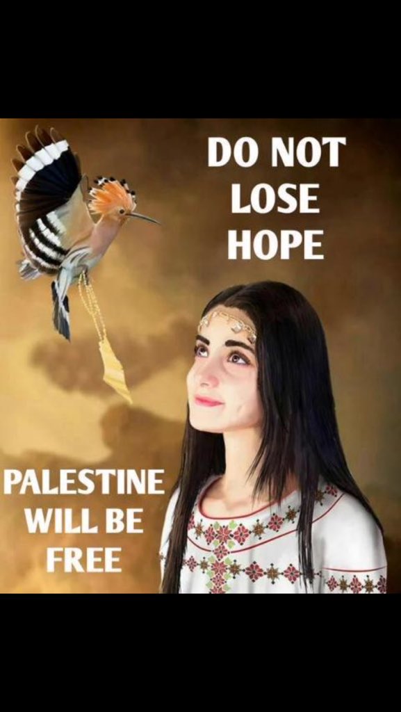 zak_arab99983's tweet photo. 🙏🏾 soon #FreePalestine #freegaza #IntifadaAlAqsa #intifada #BDS #ICC4Israel #icc4bibi #Ferguson #syria #Gaza 🙏🏾 🌹 https://t.co/2HwjKD3yRD