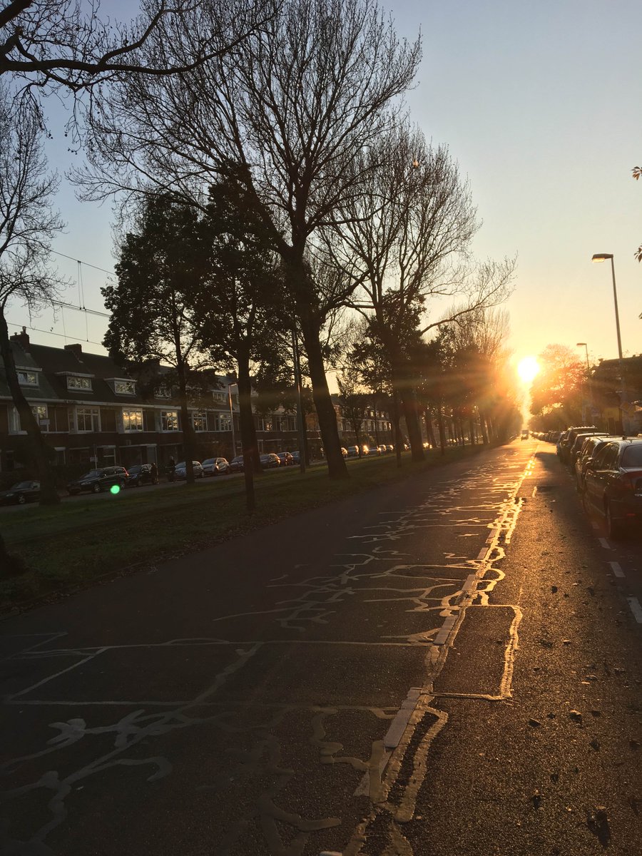 Pas op voor de lage zon.