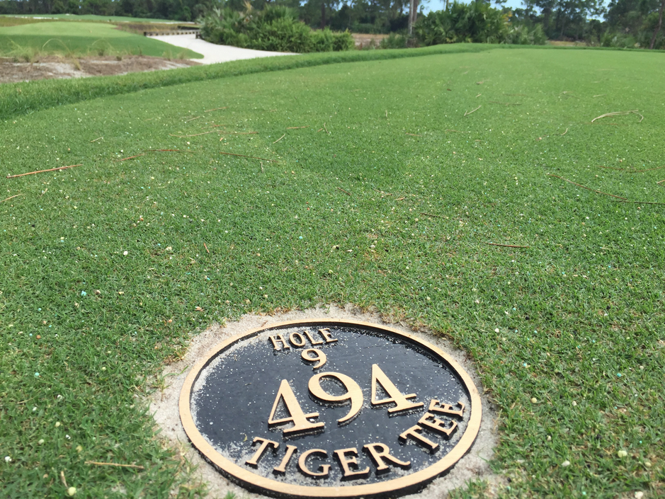 These 'Tiger tees' will be featured at redesigned Medalist Golf Club: golfdig.st/1Q222ez  (via <a href="/TimRosaforte/">TimRosaForte</a>)