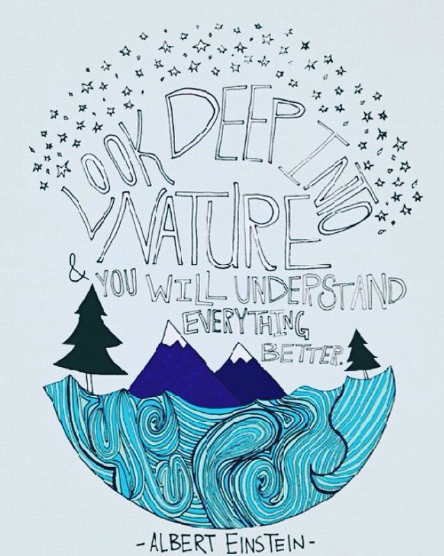 ThinkWISH's tweet photo. How can we understand everything better if we aren't taking every action we can to protect our habitats?💚 #motivati… https://t.co/BBiu4dsjmv