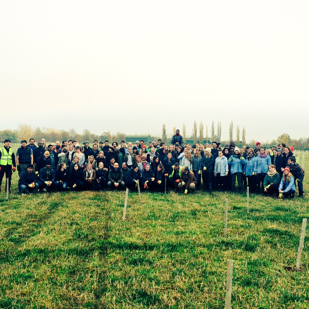 LifeAtDennis's tweet photo. We did it! 🎉 A forest in a day - what an achievement! Thanks to all who volunteered! #DoitDay @The_HOEF #trees #10k🌱 https://t.co/tJAp5x7gV8