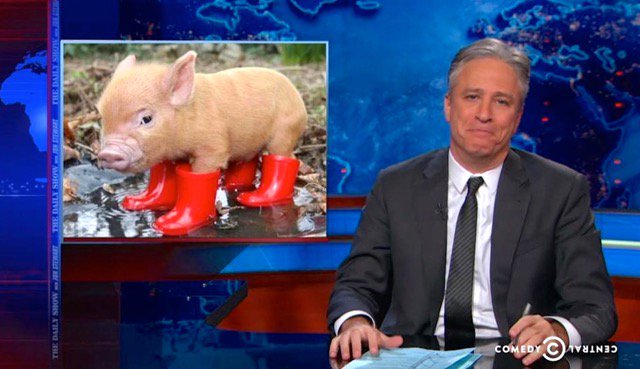 Giivers's tweet photo. From 'Daily Show' to animal house https://t.co/ShKRzKPKfn #giivers https://t.co/mzI13zmUww