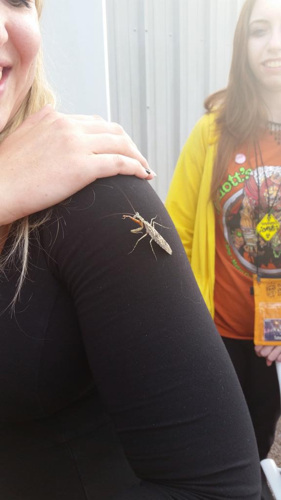 mr_labrador's tweet photo. A surprise guest at #EFF2015 https://t.co/s2ChTHOfpg