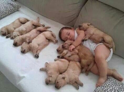 Captgorowara's tweet photo. 💛💞😊 Precious Babies 💛💞😊 https://t.co/eaep9Jbcib