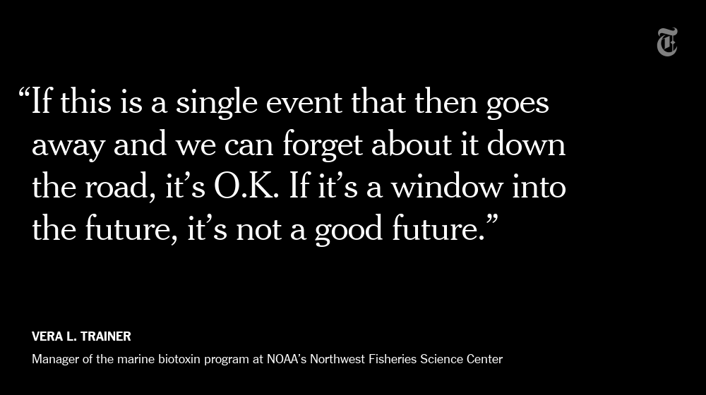 NYT Science tweet media