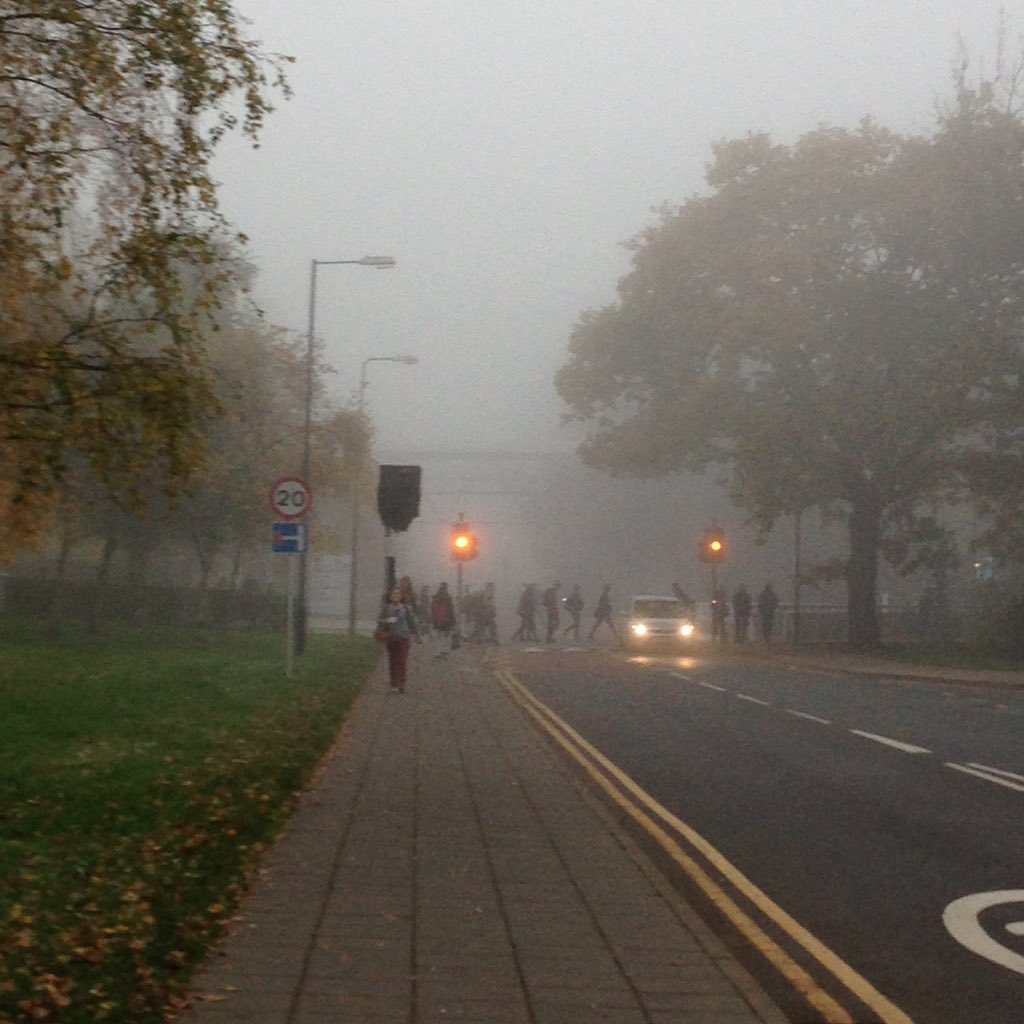 HalloFloFlo's tweet photo. @EloSduret87 Can't even see the end of the road 😂 https://t.co/Axu8j9Q4yu