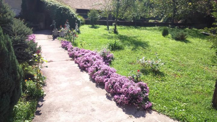 ASNetCruise's tweet photo. Dunjin konak, Reserve on https://t.co/g7sGPMfVTc #rent #room #accommodation #Rogljevo #serbia https://t.co/w6D22GjdZF
