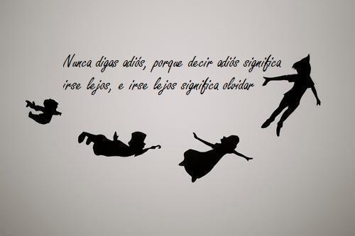 CeliaAnarte's tweet photo. 'Nunca digas adiós' 🌟 https://t.co/fGoJqrTZo0
