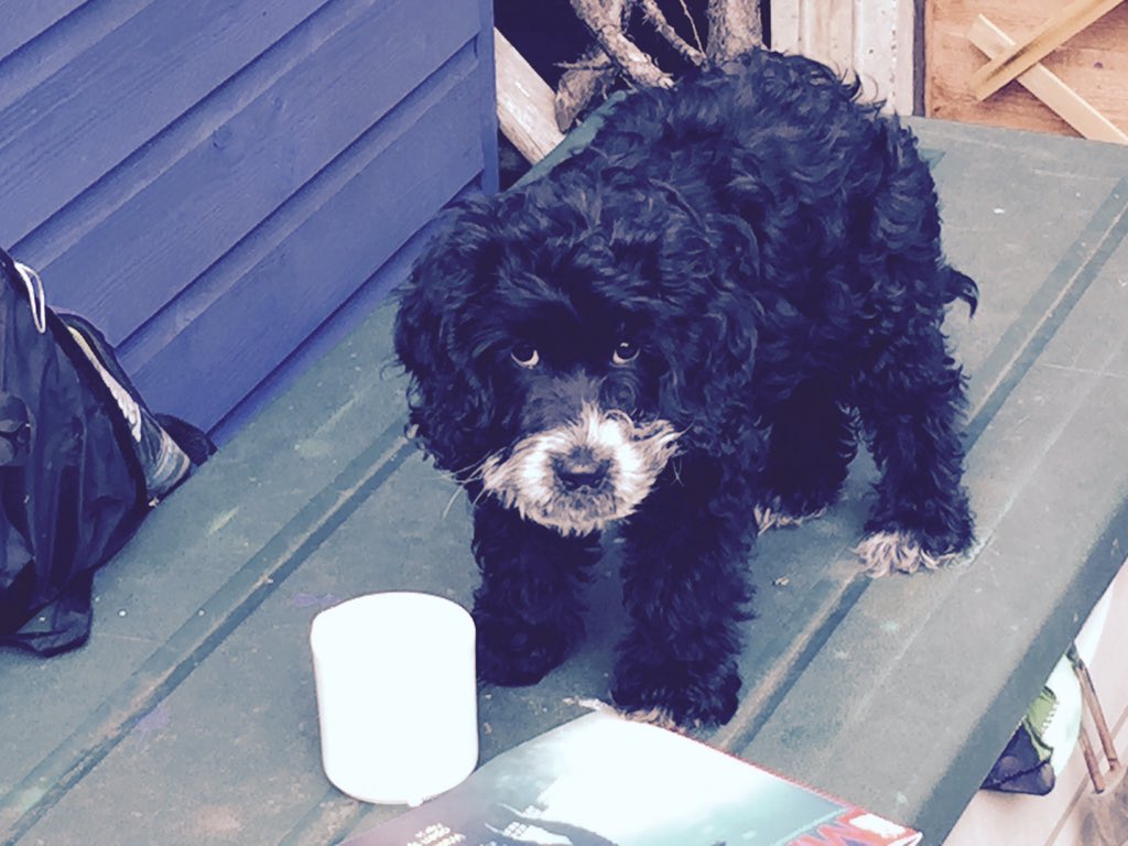 Tea and a mag. Lovely