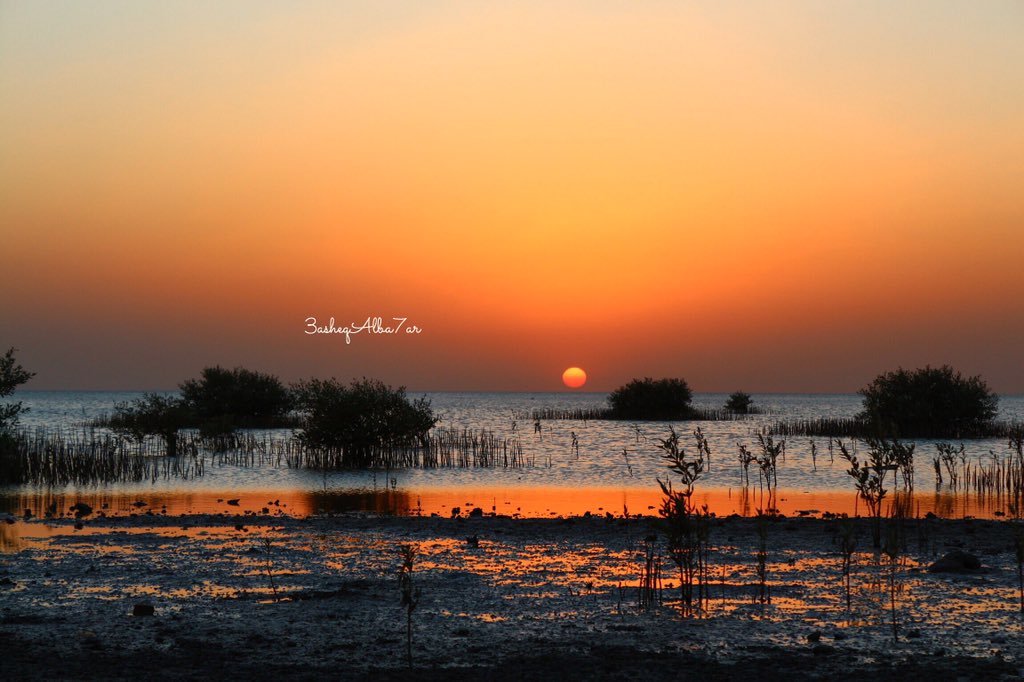 3asheqAlba7ar's tweet photo. @tswir @photo_re @cameraty @grp_ksa1 @almswer @photographersGr @Photort1 
#شروق #غروب #استغفار #الرياض #السعودية https://t.co/QxOO3c6xGE