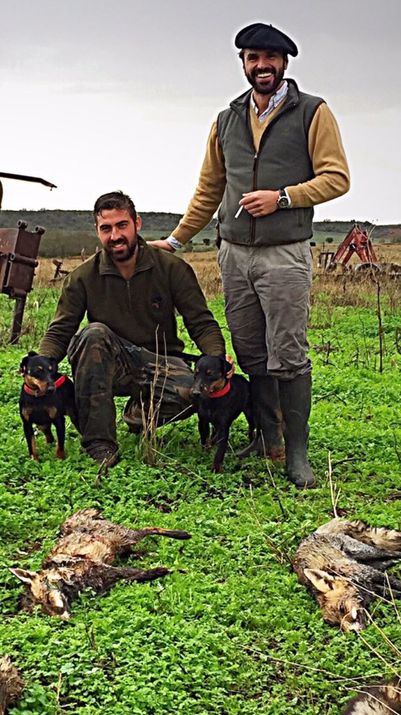 Jornada a los zorros pasada por agua.