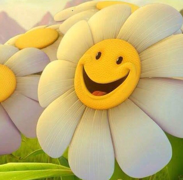 23Smooh's tweet photo. للعِطر/ لغَة تربِك آلقلْب أحيَاناً https://t.co/qhDNYZvSLW