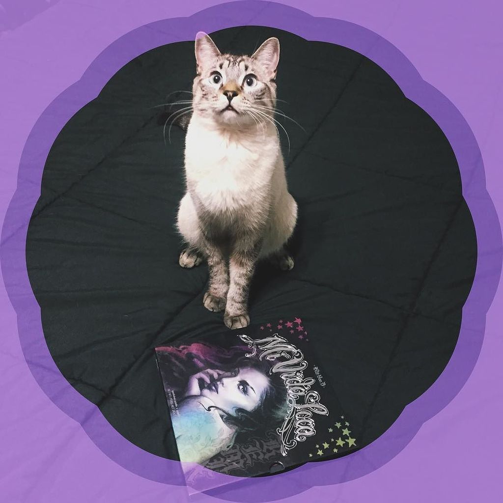 Embedded image permalink